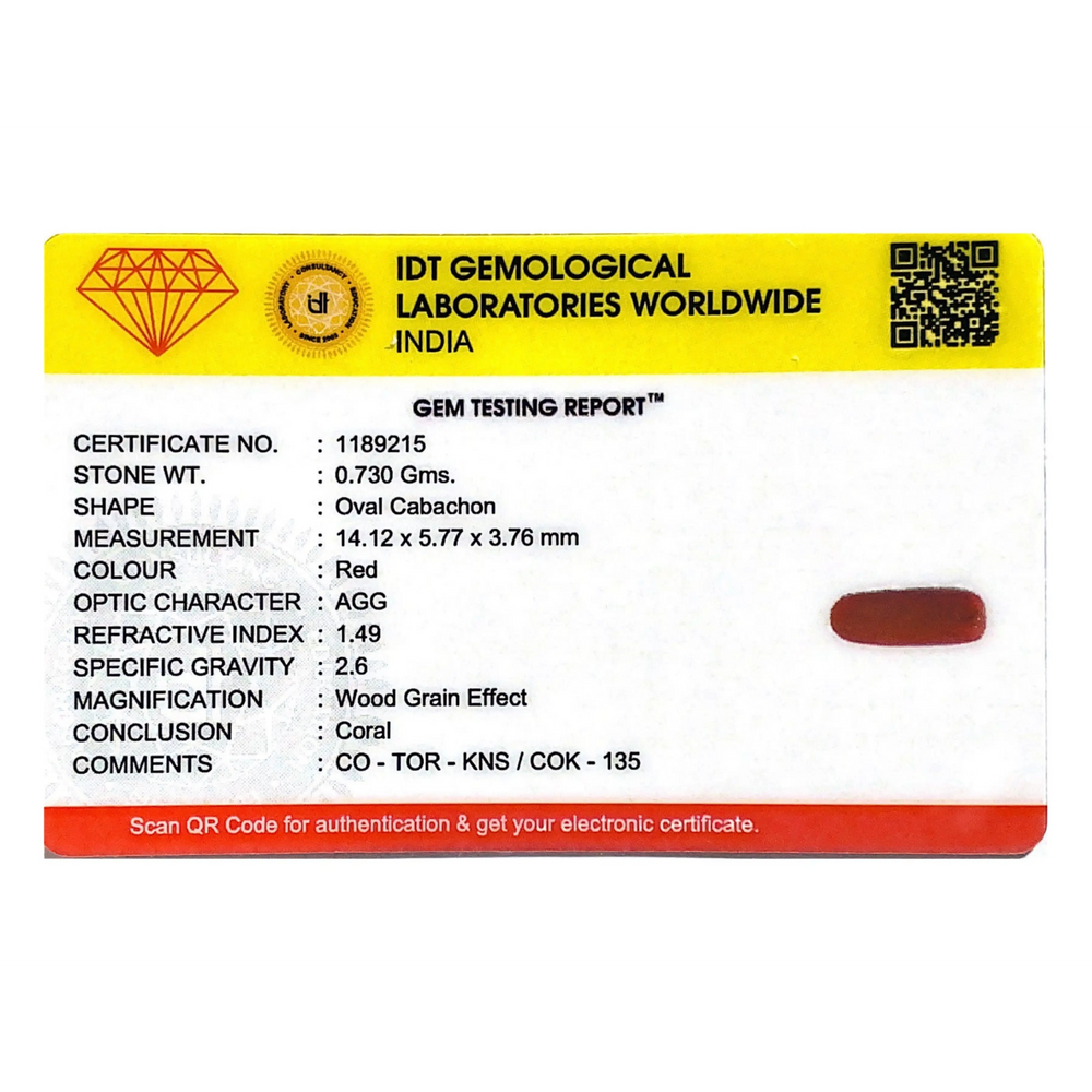Red Coral - 3.65 Carat
