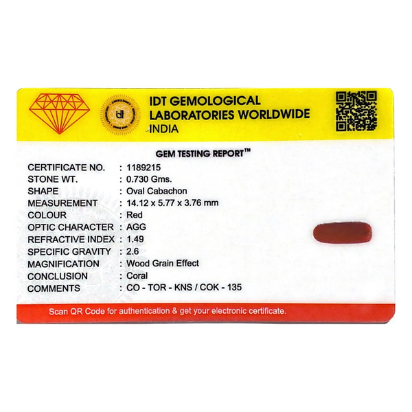 Red Coral - 3.65 Carat