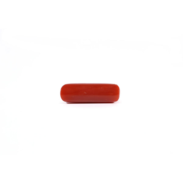 Red Coral - 3.95 Carat