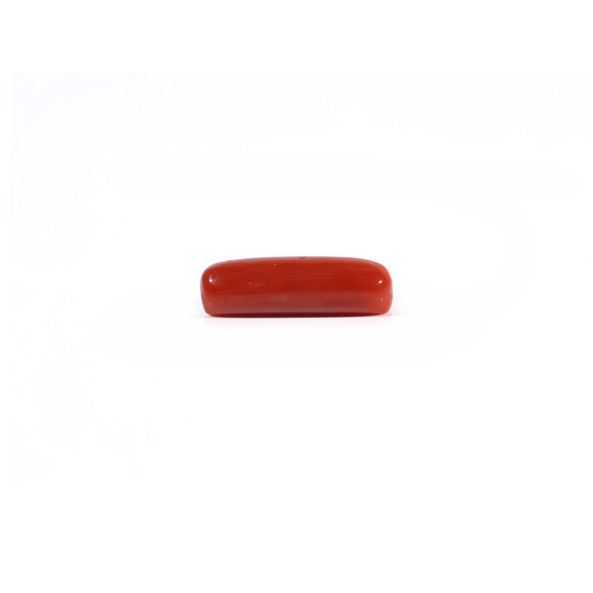 Red Coral - 3.95 Carat