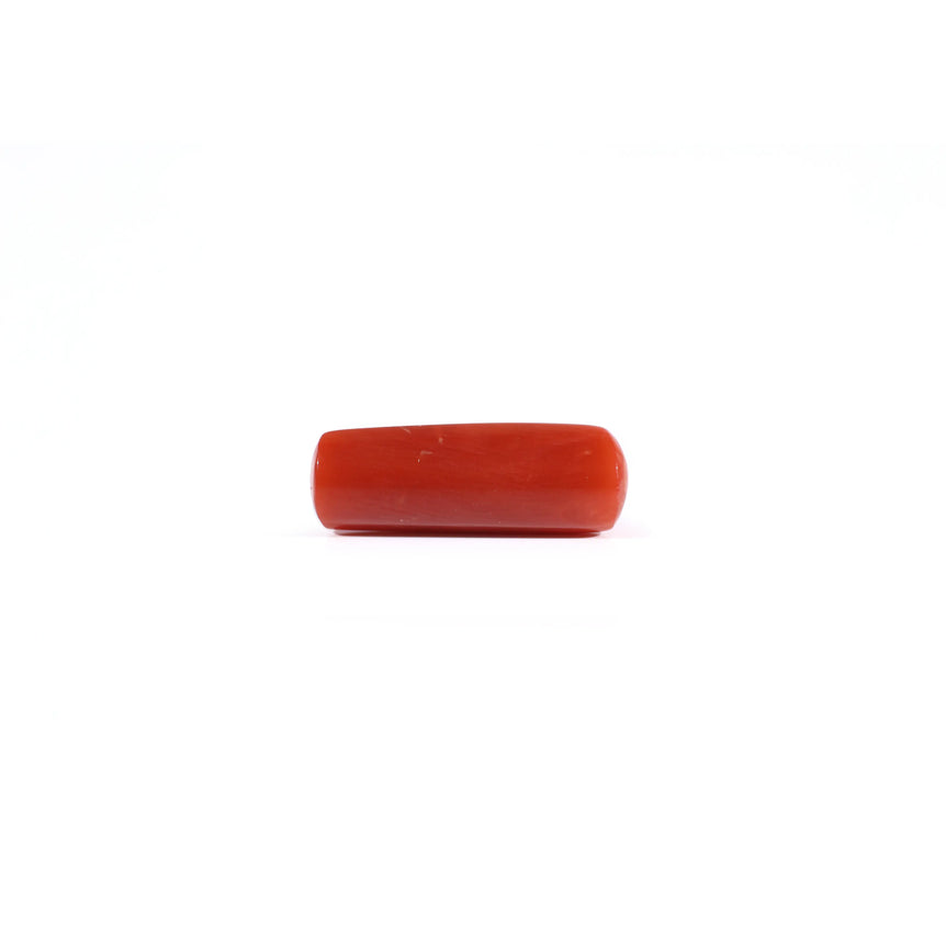Red Coral - 4.2 Carat