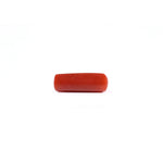Red Coral - 4.2 Carat