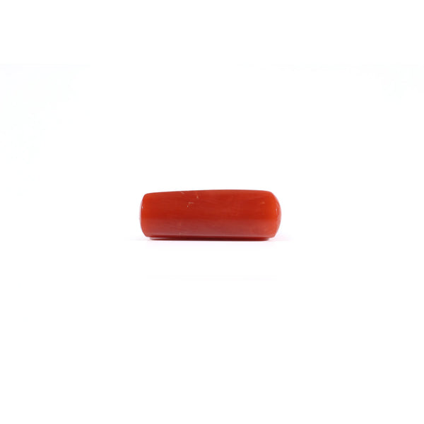 Red Coral - 4.2 Carat