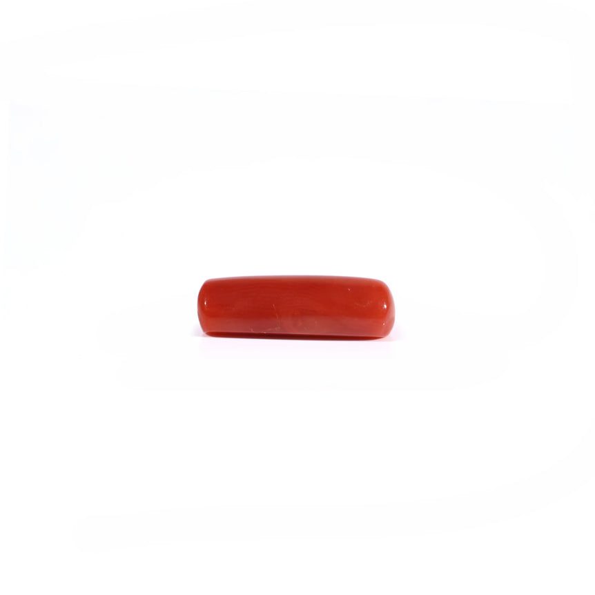 Red Coral - 4.2 Carat