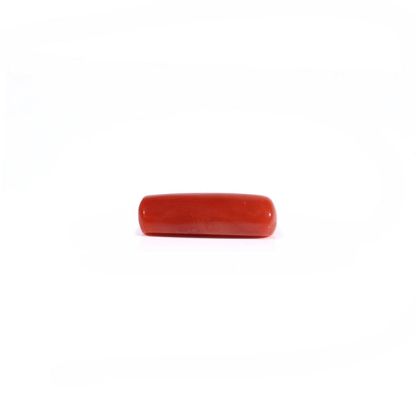 Red Coral - 4.2 Carat
