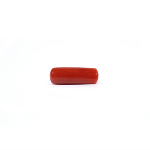 Red Coral - Moonga - 3.45 Carat - Pramogh