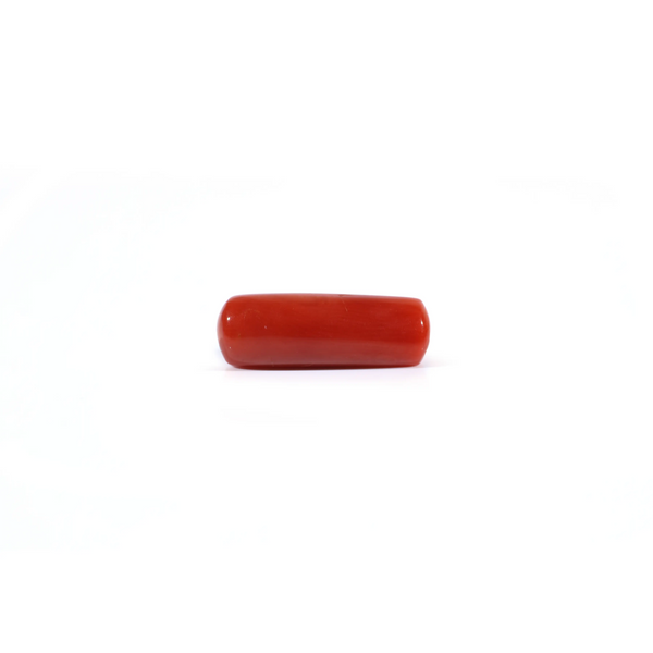 Red Coral - Moonga - 3.45 Carat - Pramogh