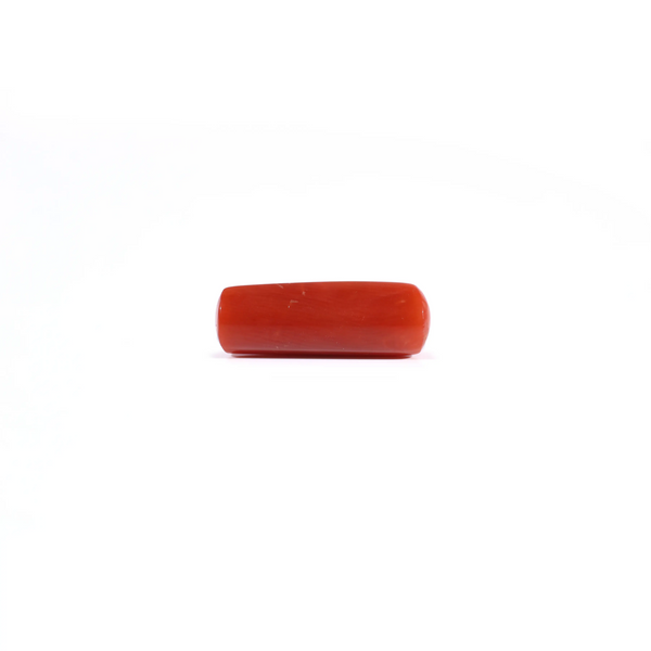 Red Coral - 3.45 Carat