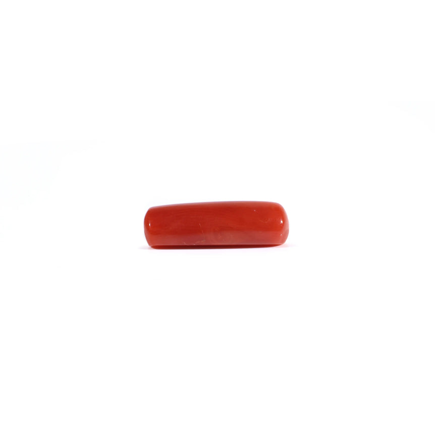 Red Coral - 3.45 Carat