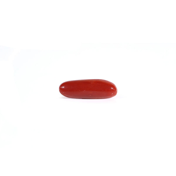 Red Coral - Moonga - 3.65 Carat - Pramogh