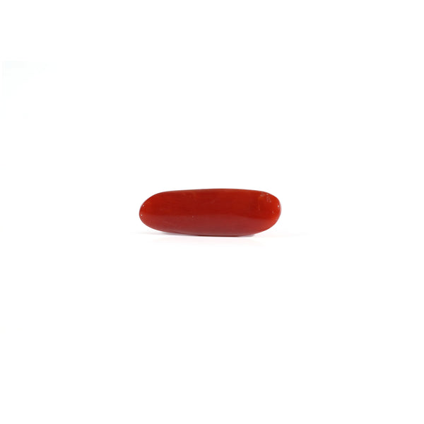 Red Coral - 3.65 Carat