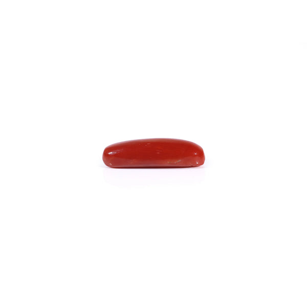 Red Coral - 3.65 Carat