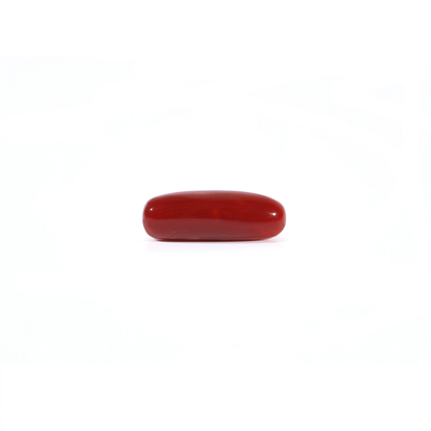 Red Coral - Moonga - 3.63 Carat - Pramogh