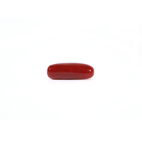 Red Coral - Moonga - 3.63 Carat - Pramogh