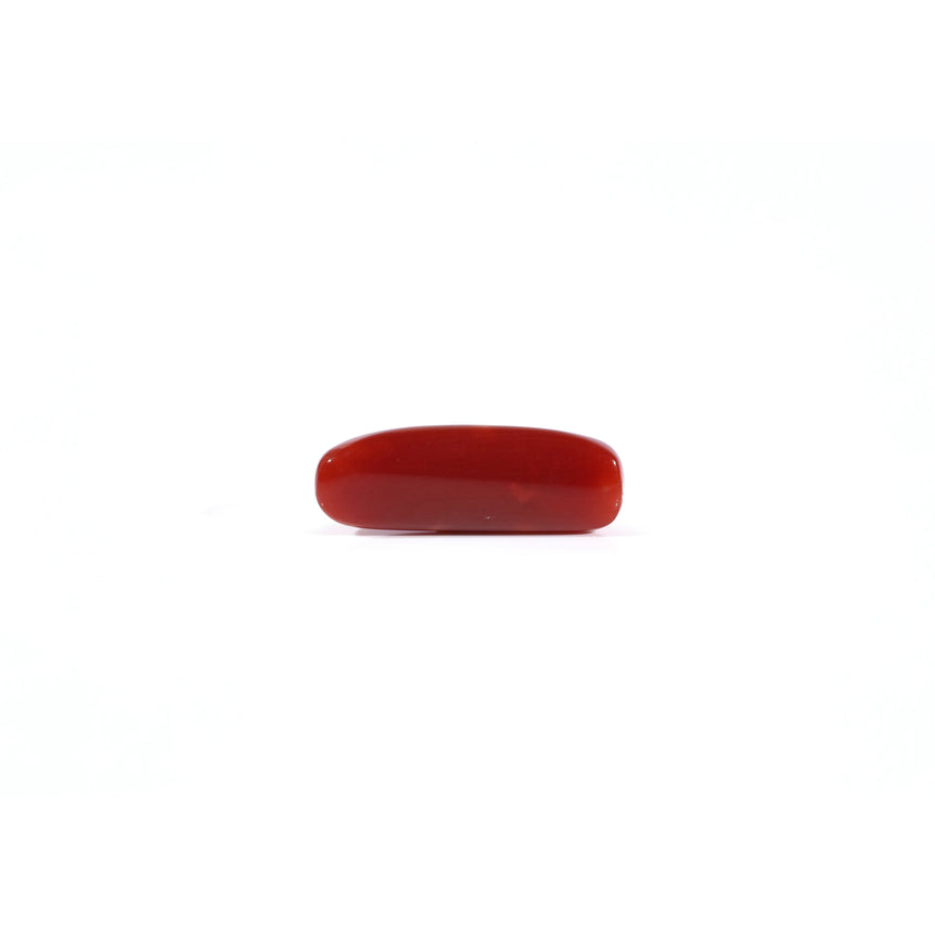Red Coral - 3.63 Carat