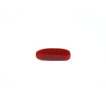 Red Coral - 3.63 Carat