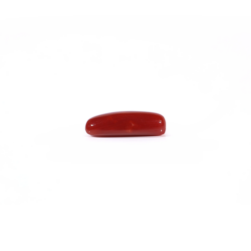 Red Coral - 3.63 Carat