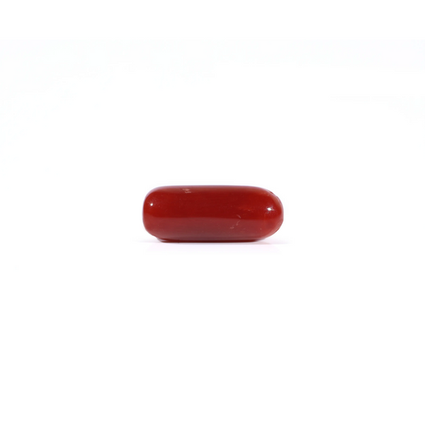 Red Coral - Moonga - 3.6 Carat - Pramogh