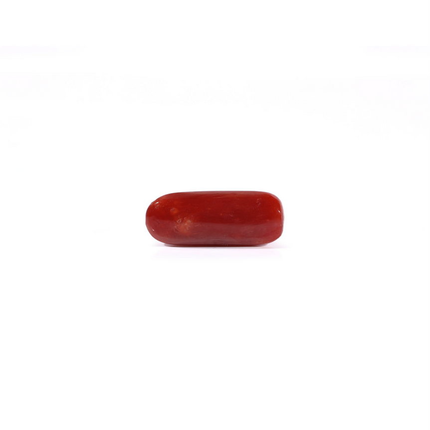 Red Coral - 3.6 Carat