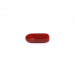 Red Coral - 3.6 Carat