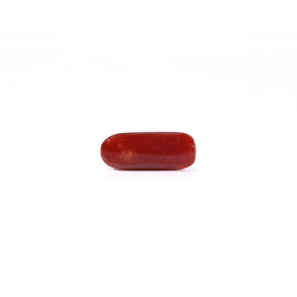 Red Coral - 3.6 Carat