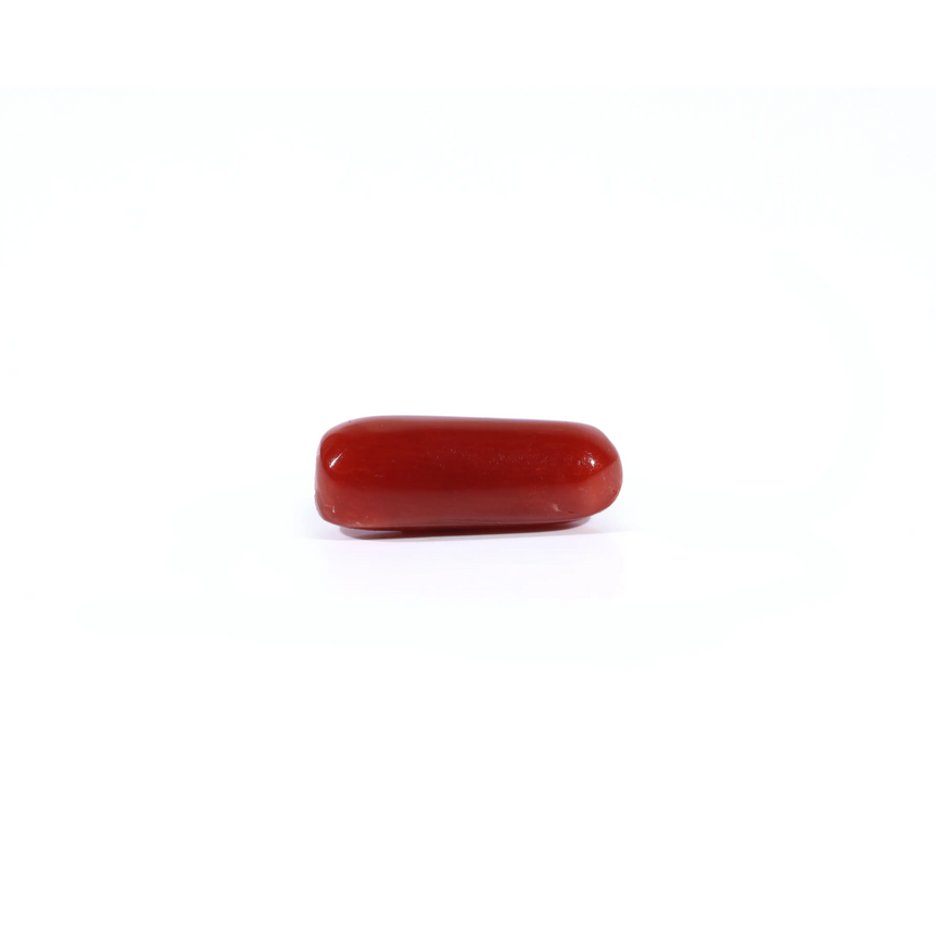 Red Coral - 3.6 Carat