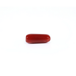 Red Coral - 3.6 Carat