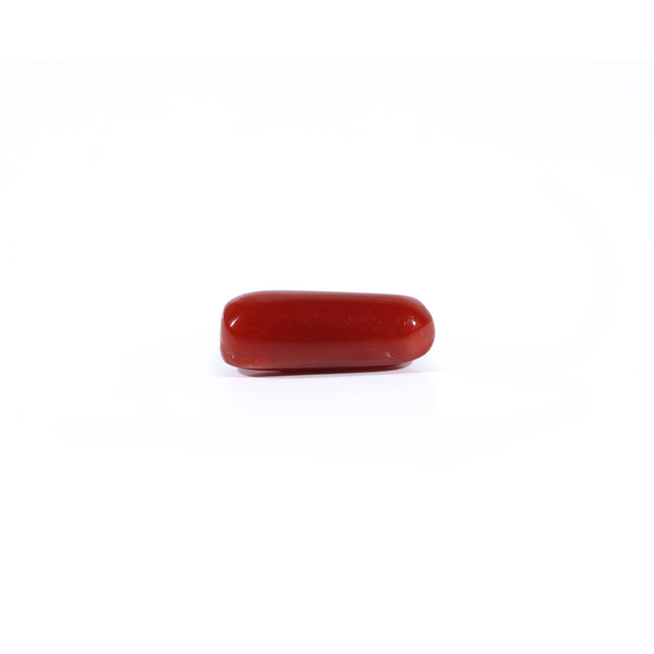 Red Coral - 3.6 Carat