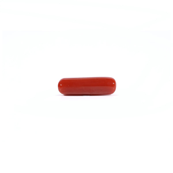 Red Coral - Moonga - 4.5 Carat - Pramogh
