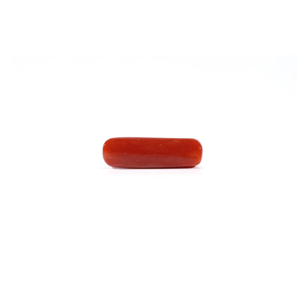 Red Coral - 4.5 Carat