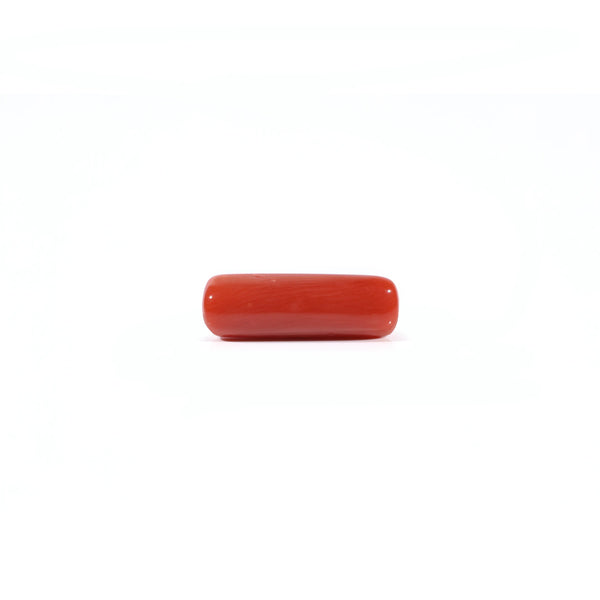 Red Coral - Moonga - 4.2 Carat - Pramogh