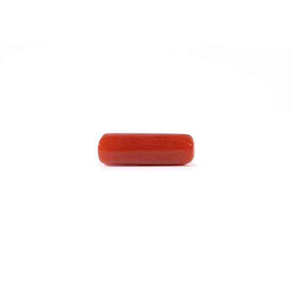 Red Coral - 4.2 Carat