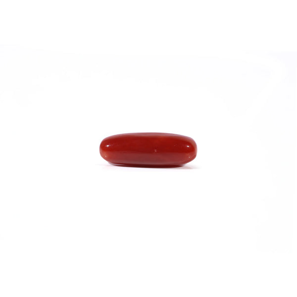 Red Coral - Moonga - 4.05 Carat - Pramogh