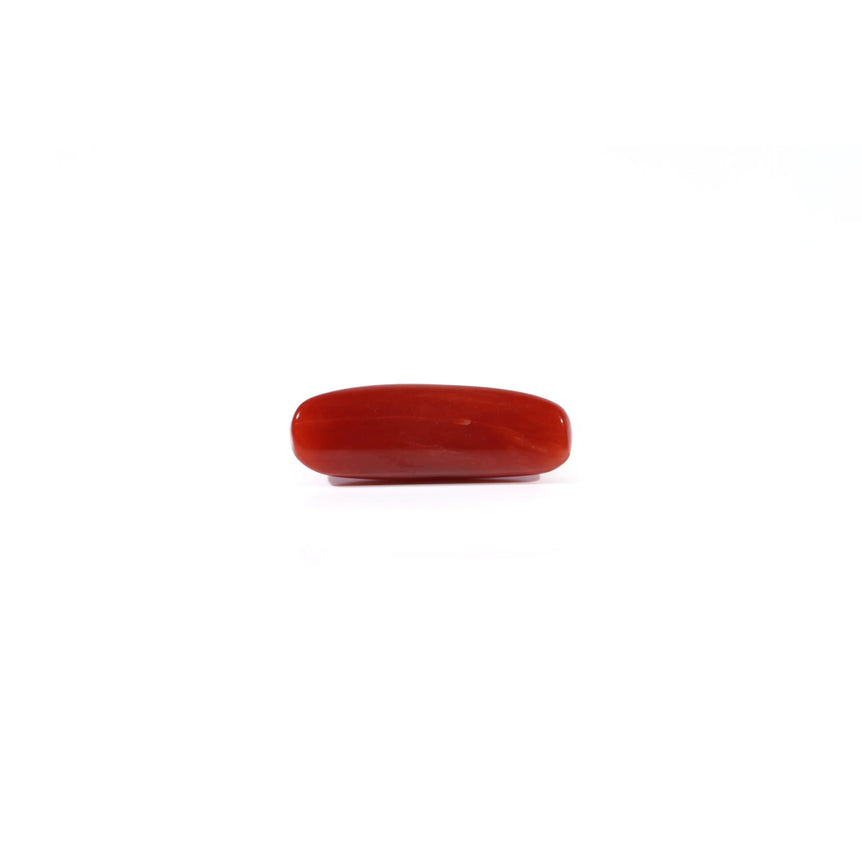 Red Coral - 4.05 Carat