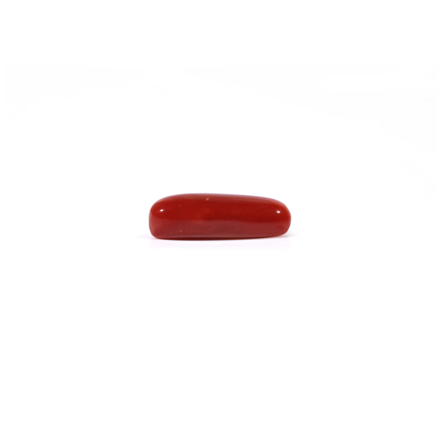 Red Coral - 4.05 Carat