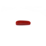 Red Coral - 4.05 Carat