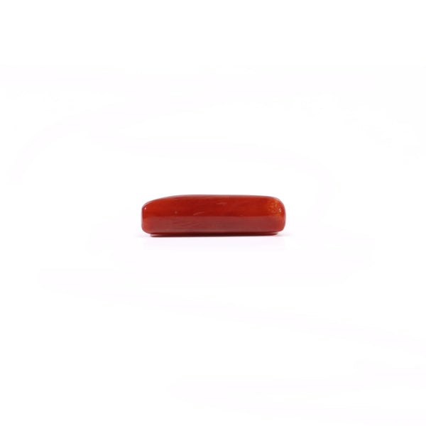 Red Coral - 3.75 Carat