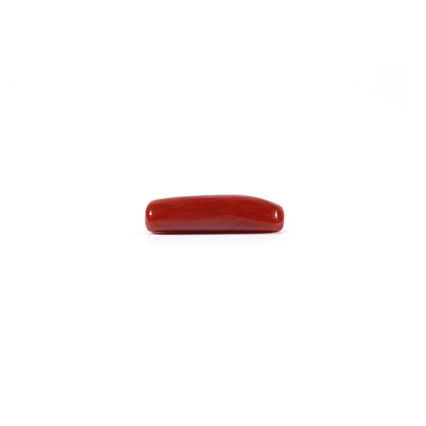 Red Coral - 3.75 Carat