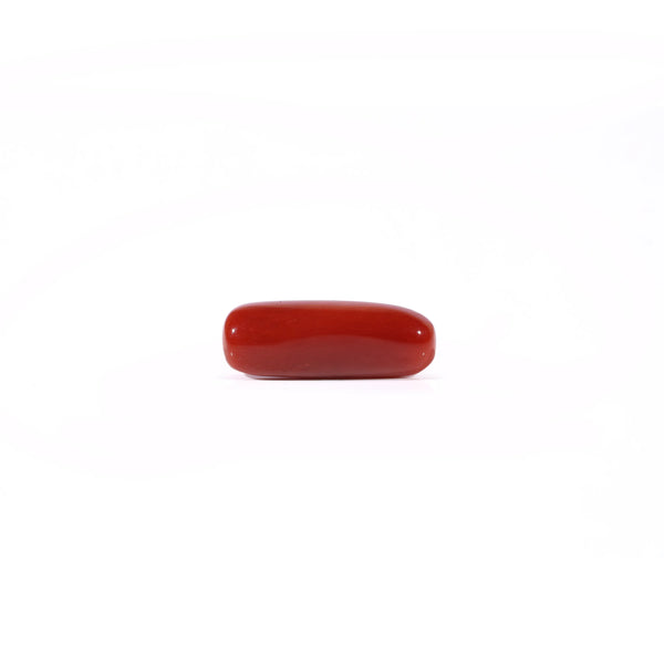 Red Coral - Moonga - 4.05 Carat - Pramogh