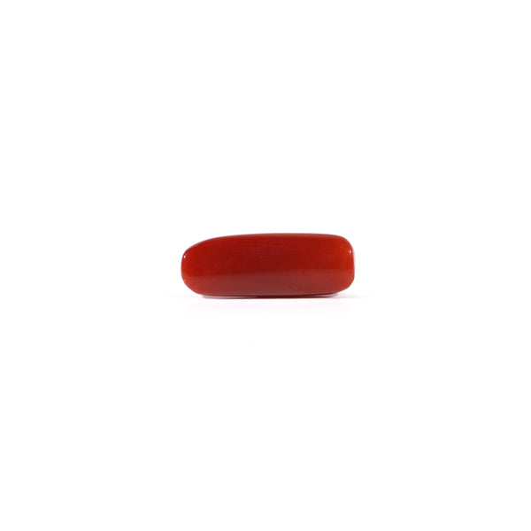Red Coral - 4.05 Carat