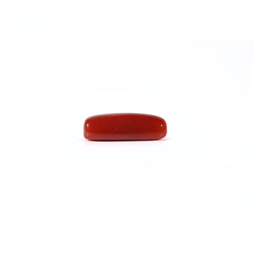Red Coral - 4.05 Carat