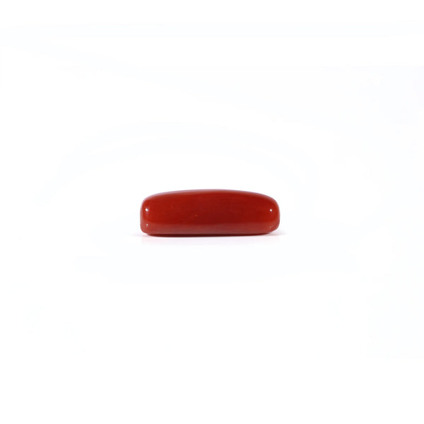 Red Coral - 4.05 Carat