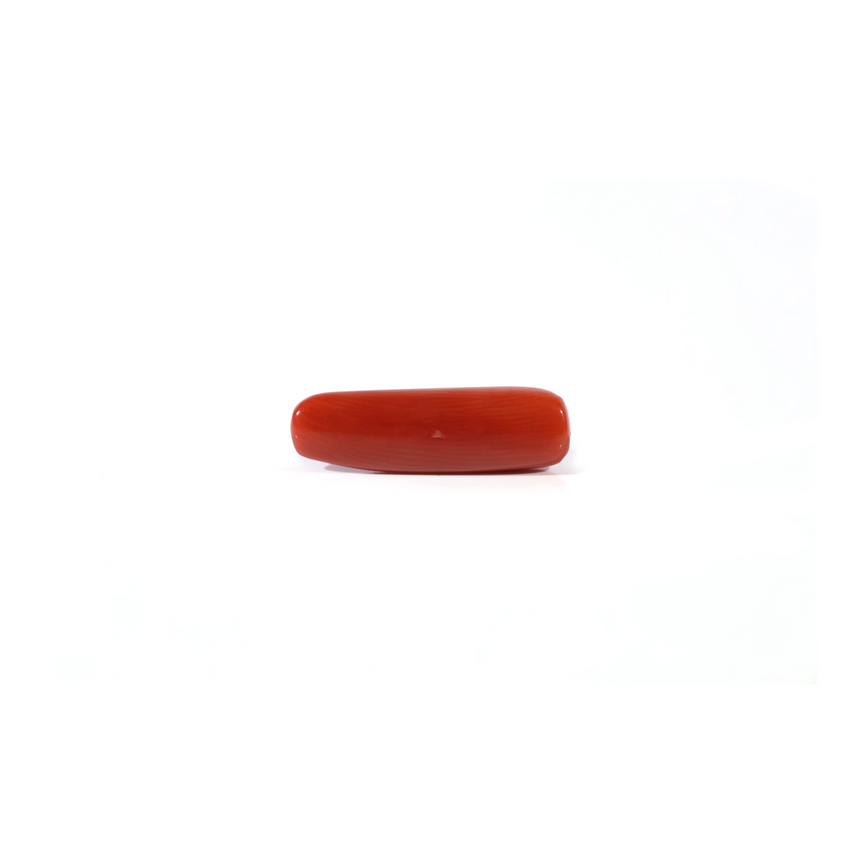 Red Coral - 4.25 Carat