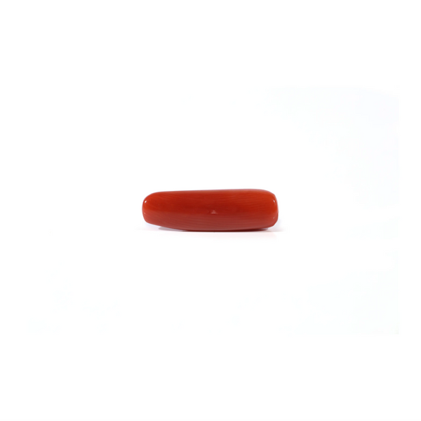 Red Coral - 4.25 Carat