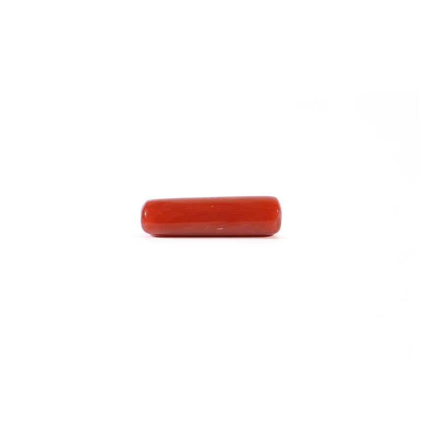 Red Coral - 4.5 Carat