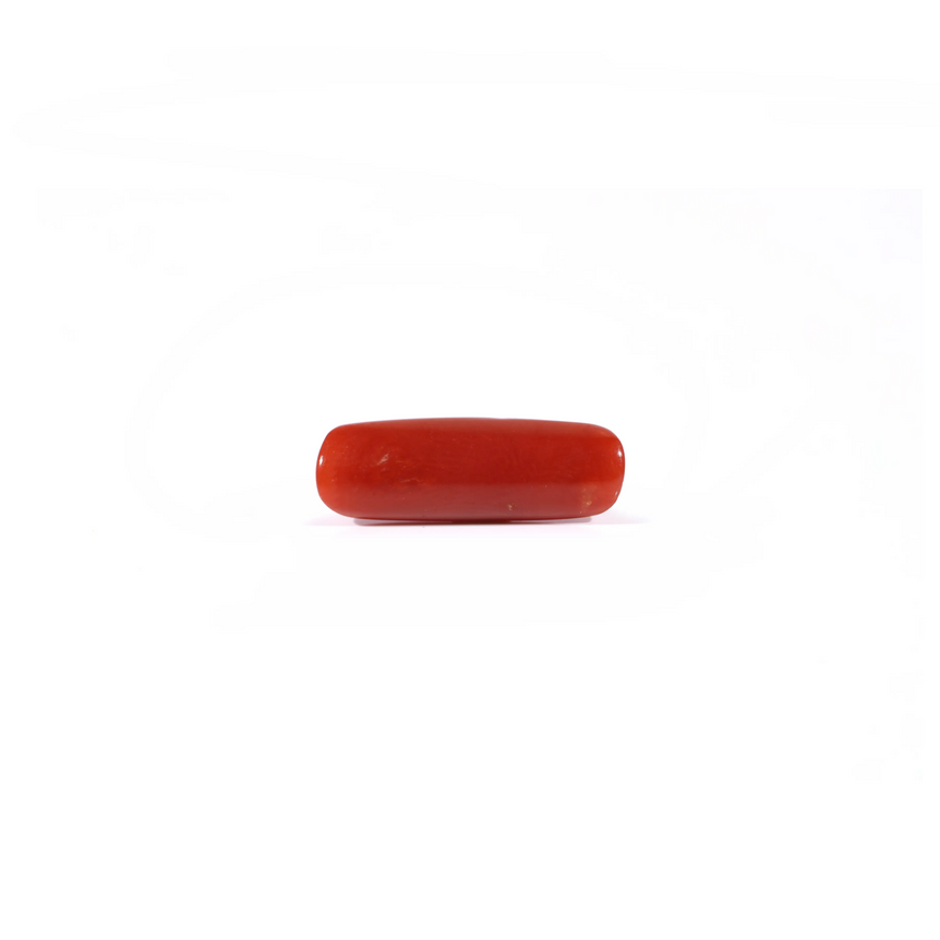 Red Coral - 4.2 Carat