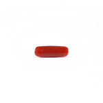 Red Coral - 4.2 Carat