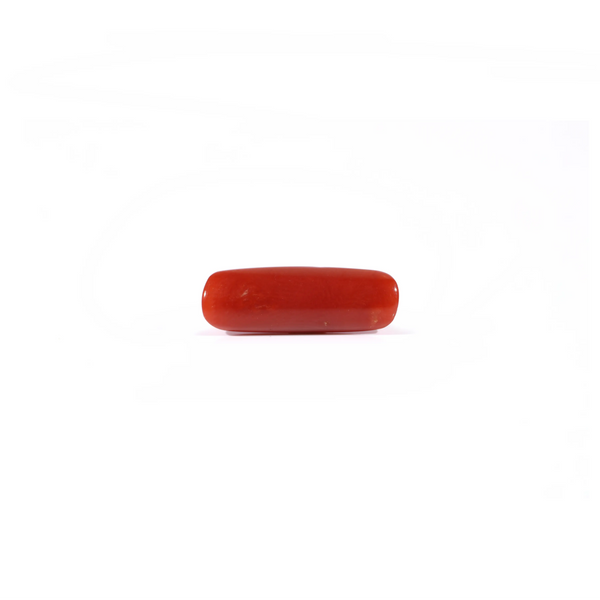 Red Coral - 4.2 Carat