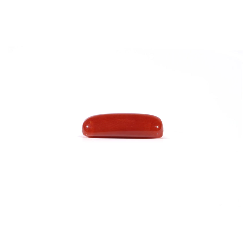 Red Coral - 4.2 Carat