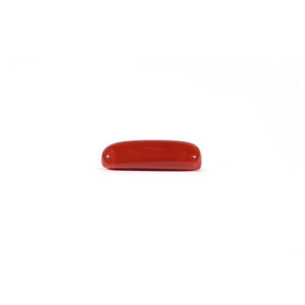 Red Coral - 4.2 Carat